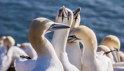 乐鱼体育平台官网-江西与浙江交战，胜负难料等待揭晓，江西和浙江交界地图