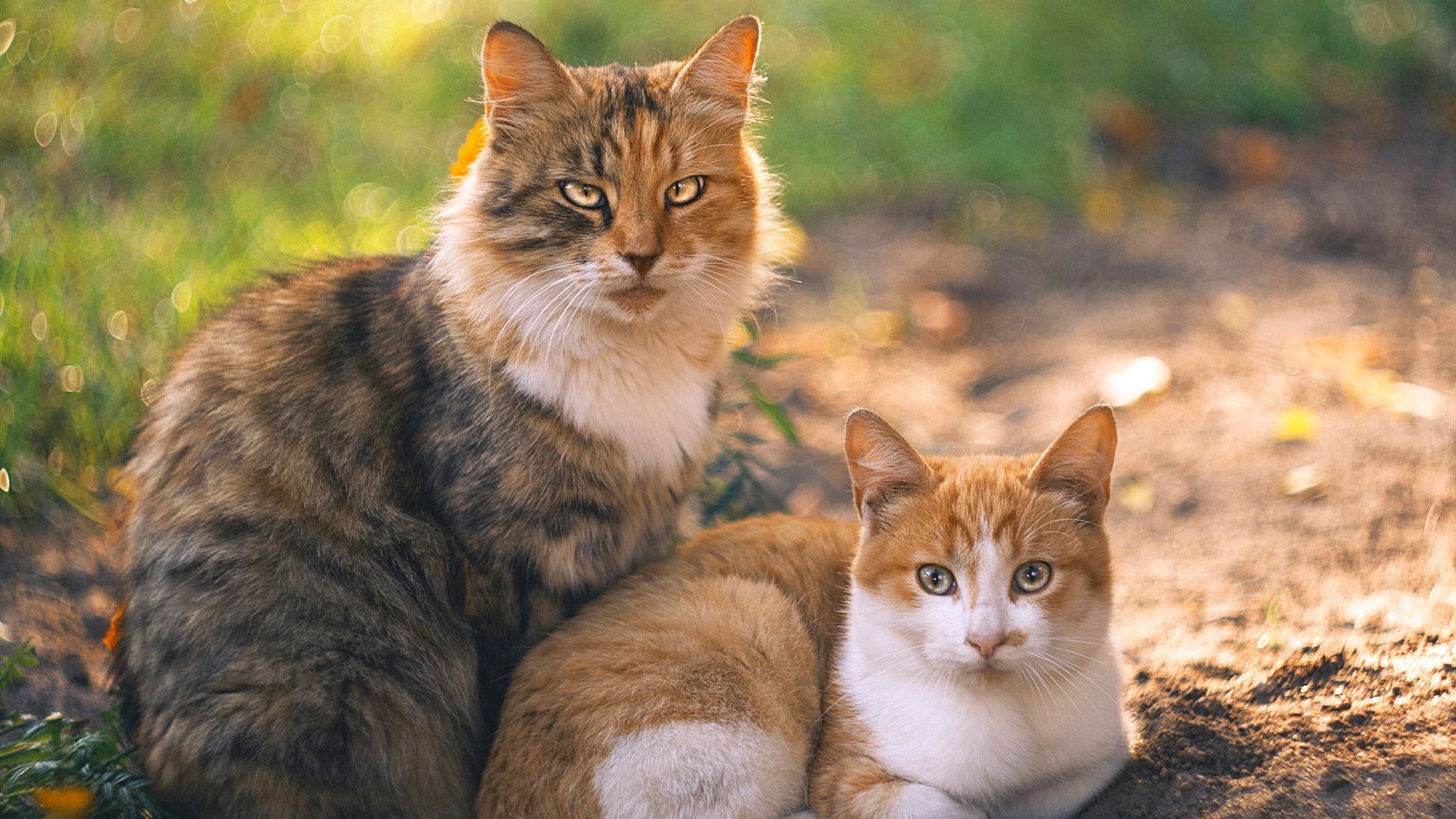 _勇士开启火热三分雨，场场爆炸_，勇士三分最多的比赛