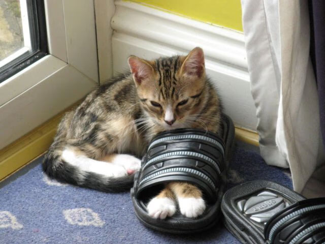 _网球运动员的日常:训练、复盘与心态调节_,网球训练表