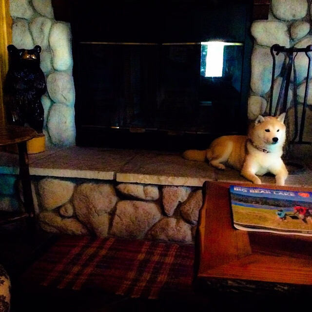 _赏樱盛会:樱花大道上的浪漫网球赛_,g1樱花赏