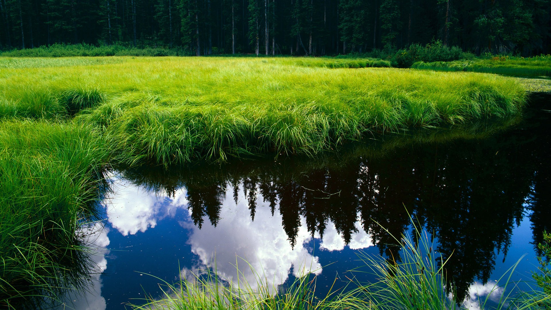 “法甲最新排名：争冠集团逐渐拉开差距”，法甲欧战冠军