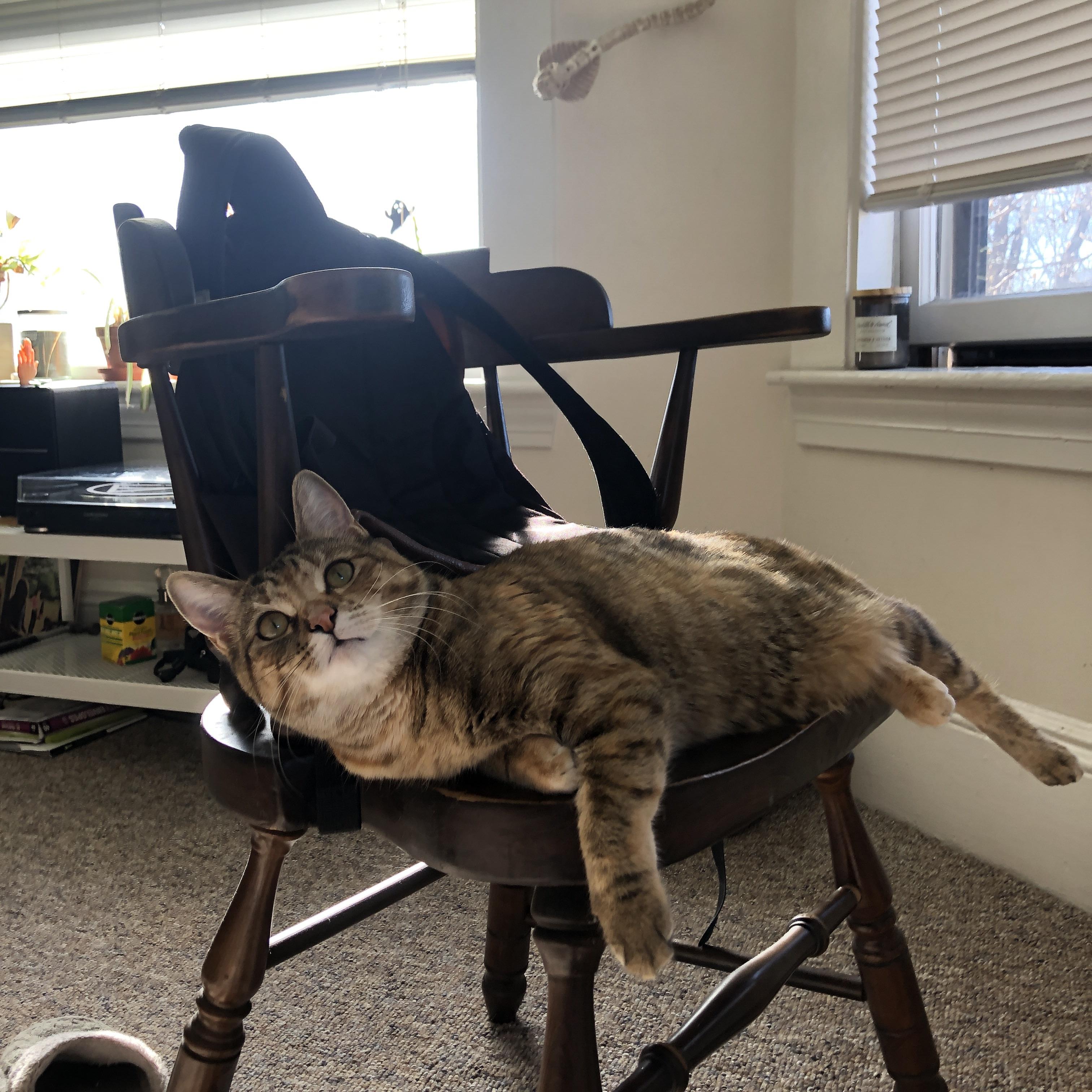 “青少年足球公益赛事广泛开展,推动体育普及”,青少年足球邀请赛