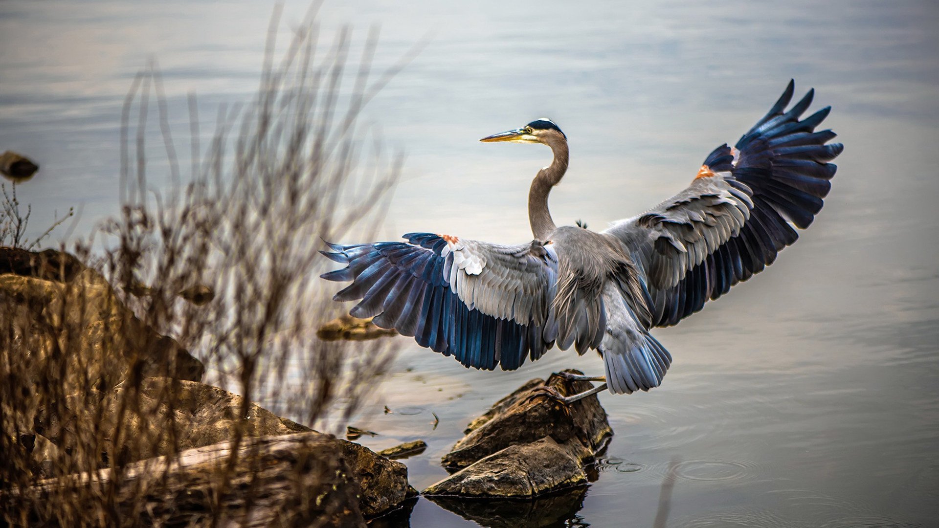 leyu乐鱼官网登录入口-支持瑜伽产业发展，推动经济增长，瑜伽市场