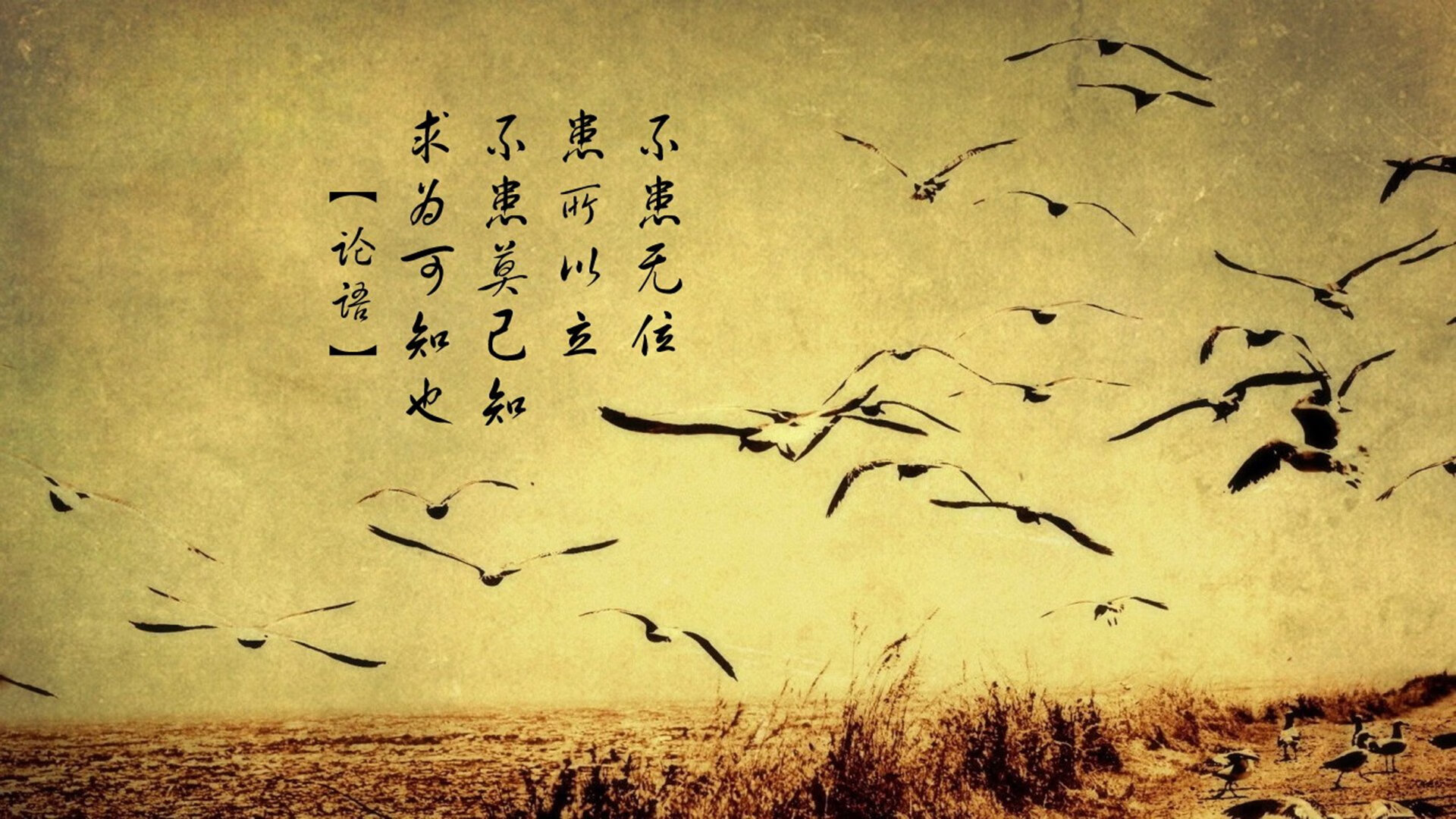 LEYU乐鱼体育官方网站-法甲激烈角逐，精彩进球和战术变革成为主旋律，法甲情况