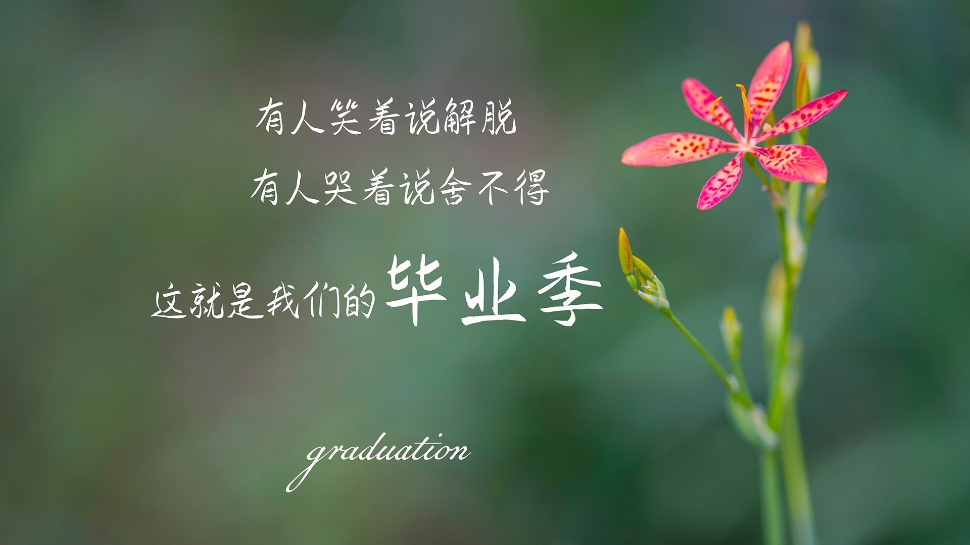 乐鱼娱乐app-迷你马拉松，城市健身新潮流，什么叫迷你马拉松