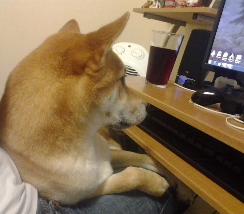 中国足球俱乐部积极探索多元融资渠道,中国足球俱乐部怎么盈利