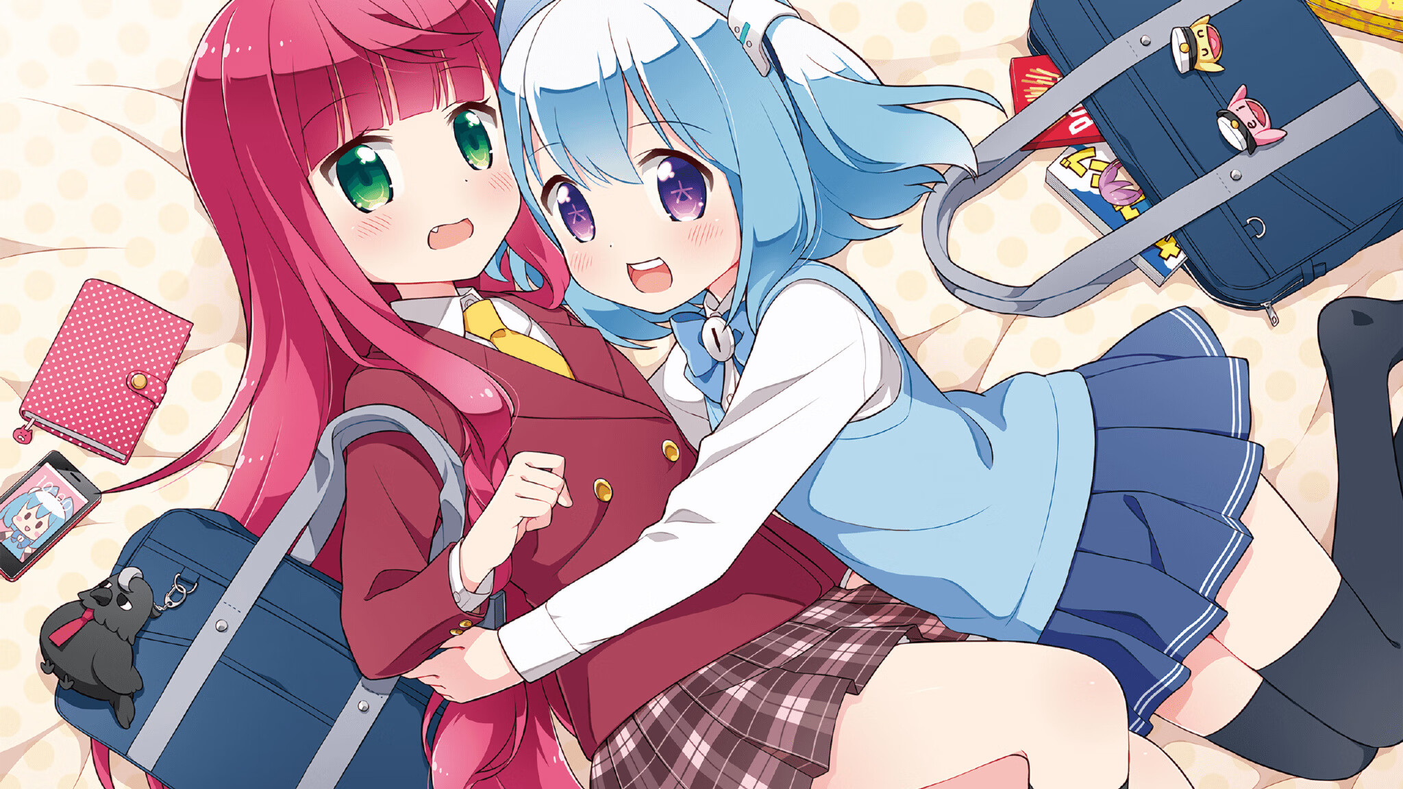 中国篮球联赛市场化运作模式,篮球市场细分方案