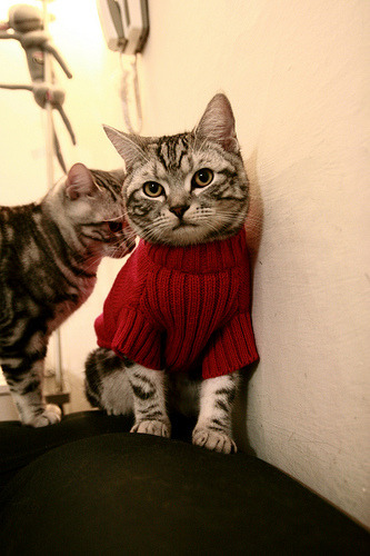 堡垒之夜玩家举办虚拟婚礼引热议，堡垒之夜策划