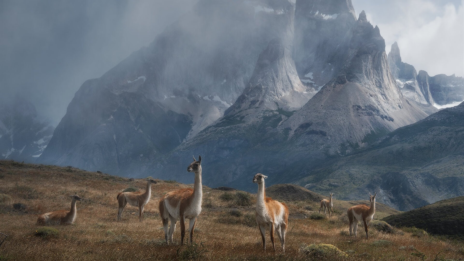弗朗茨·巴图姆（Nicolas Batum）宣布参加巴黎奥运会，法国奥运会姆巴佩