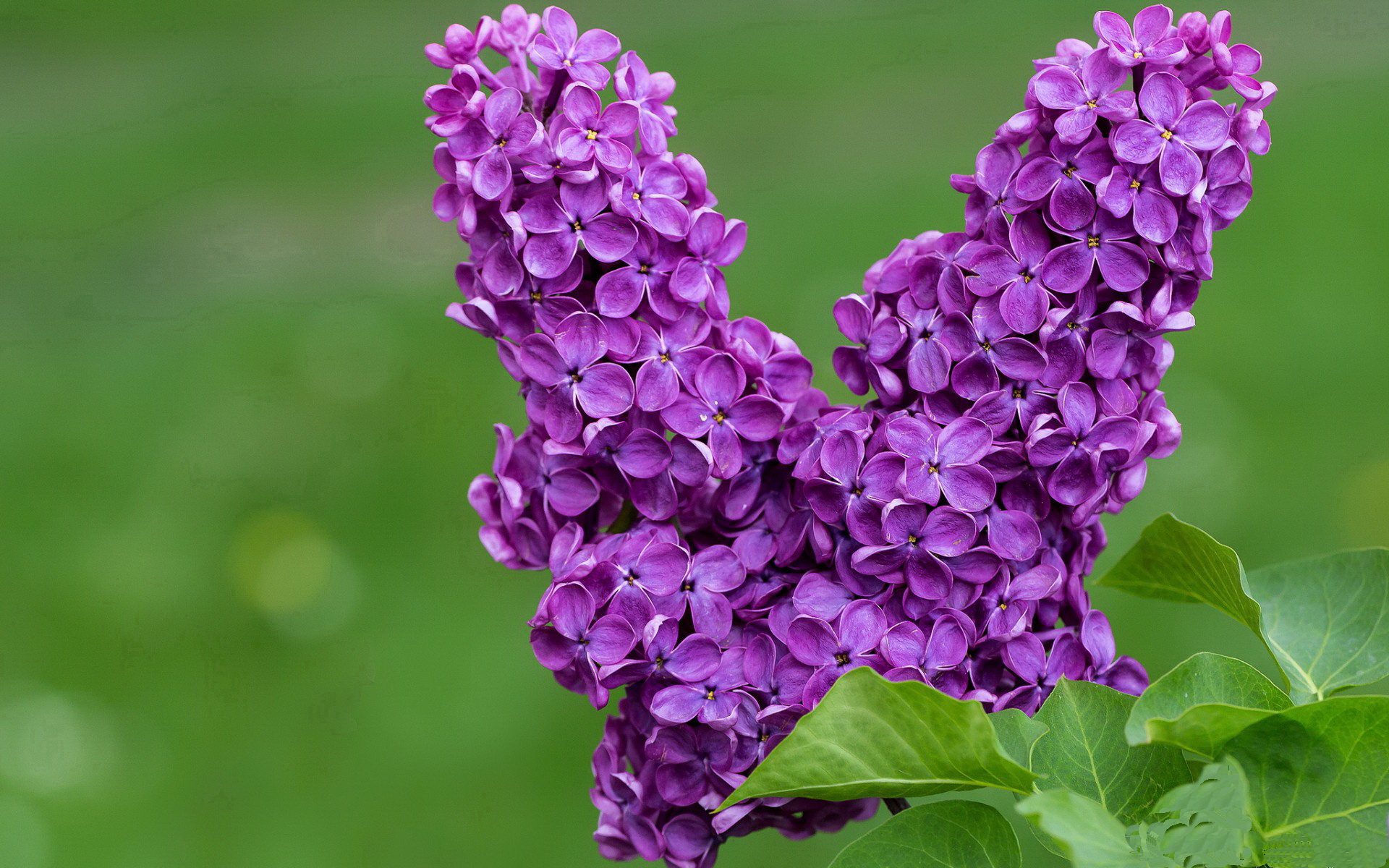 乐鱼电竞在线平台-杜兰特重伤无缘季后赛，球队形势堪忧，杜兰特再次伤退