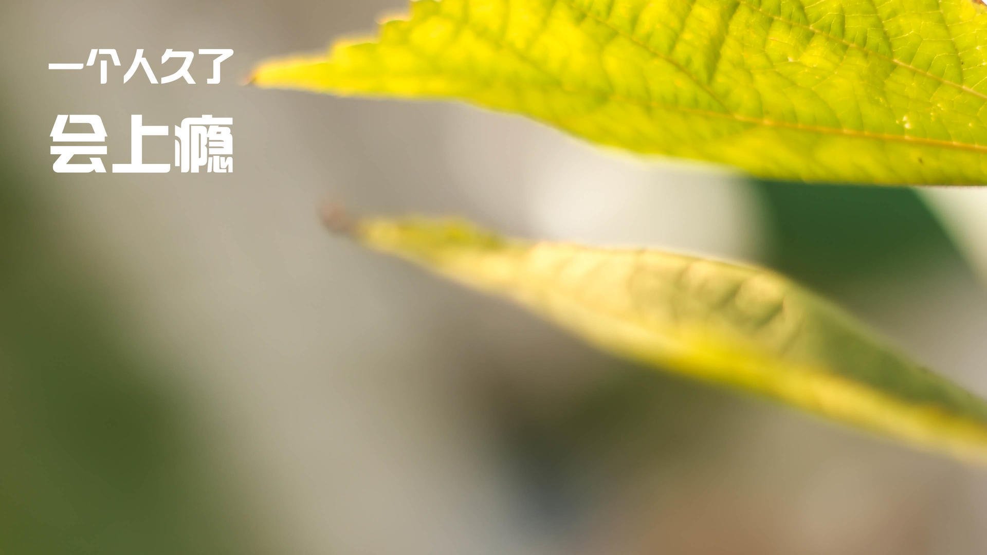 leyu乐鱼体育综合-欧国联冠军争夺激烈，胜者将尽夺新，欧国联冠军赛