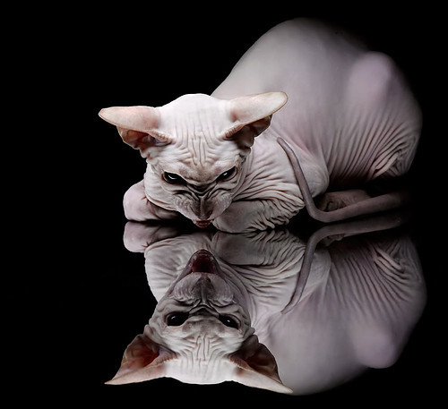 步行者逆转勇士,哈利伯顿全场送出16次助攻,步行者逆转勇士,哈利伯顿全场送出16次助攻