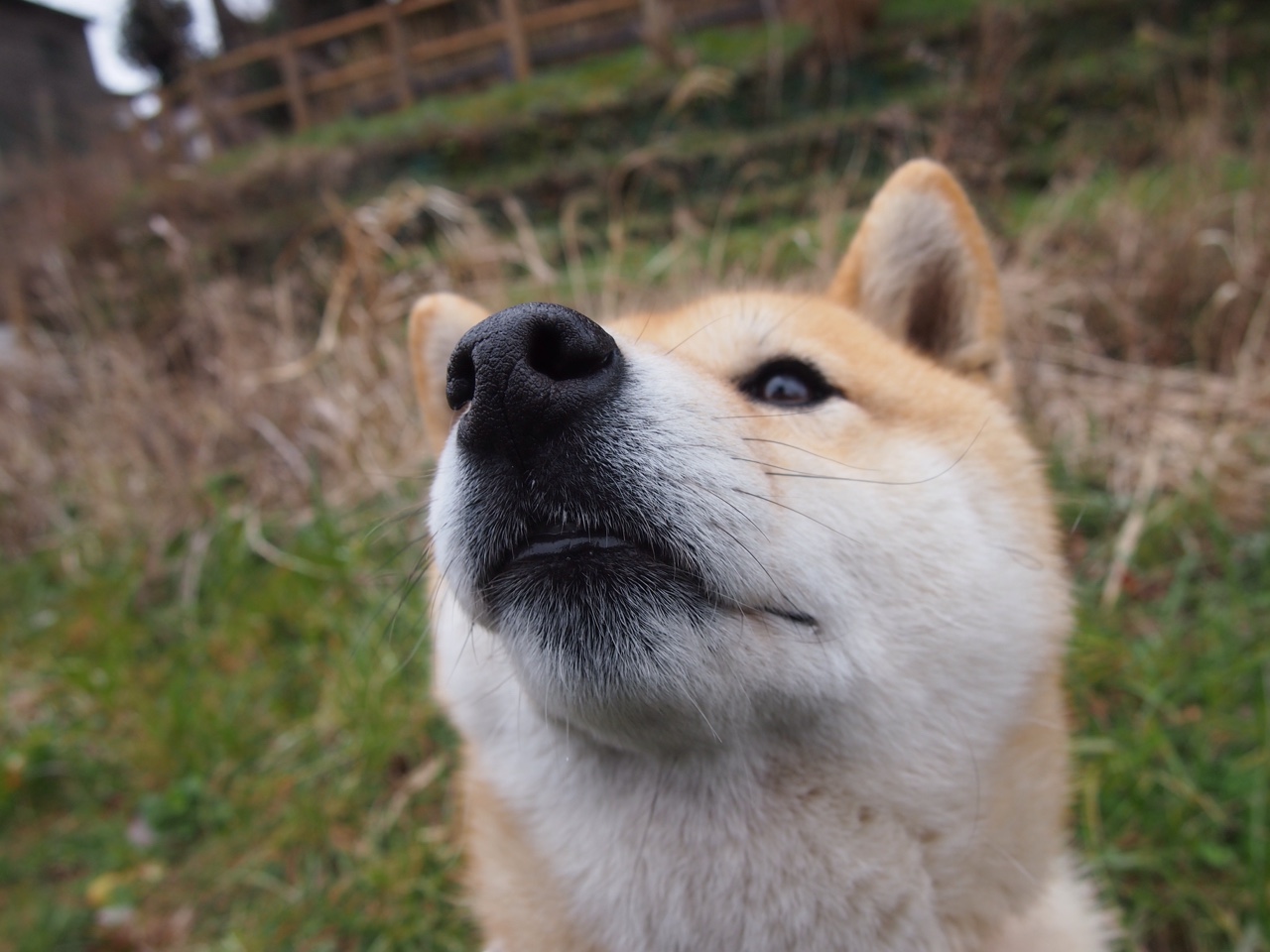 瑞士篮球界现代化，引入新科技提升比赛体验，瑞士篮球世界排名