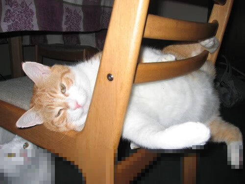 阿拉巴斯特罗士气高昂，客场有望逆袭，阿特巴拉河