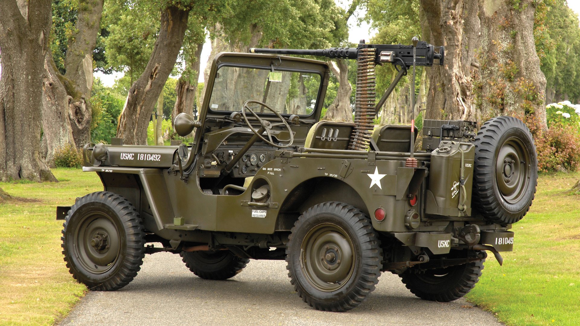 全国青少年放飞风筝比赛在青岛盛大开启,迎风扬帆,2021年全国风筝比赛