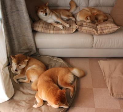 篮球运动员专项技能动作动作捕捉技术的系统开发，篮球动作技术要领