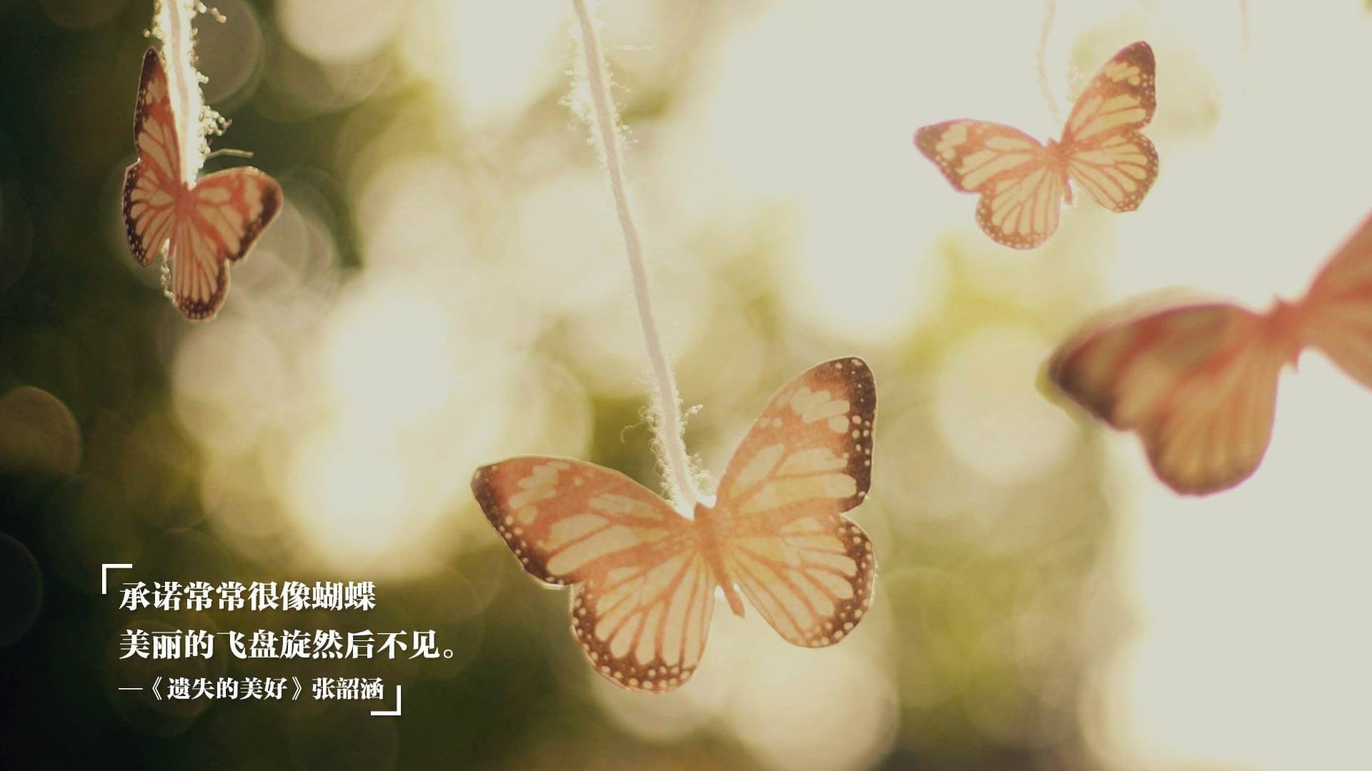 赛场内外:激烈比拼的战术分析与战役点评,战术对打