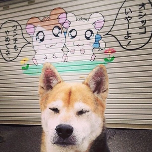 体育新闻中心发布体育创作者职业发展支持政策,体育行业创业的方向