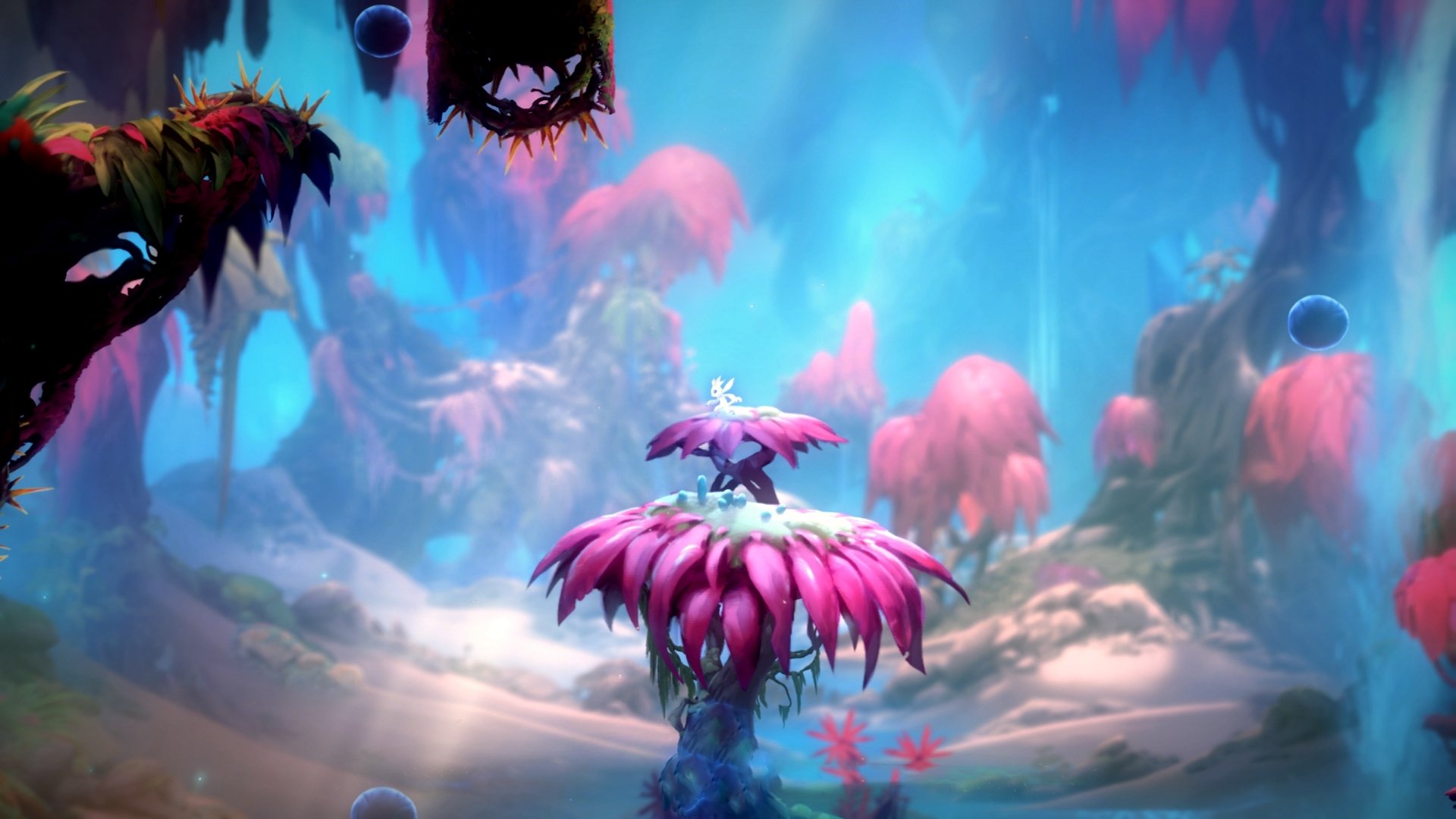 乐鱼官网-国家队备战时间不足的影响，国家队备战保障产品