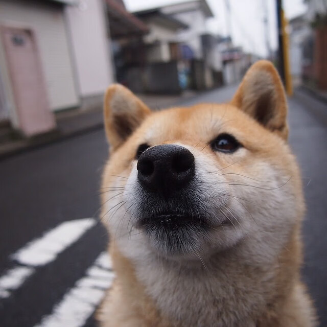 乐鱼app-快慢节奏交替是否利于球员保持状态，快节奏和慢节奏