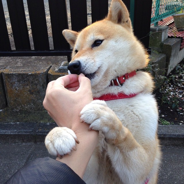 APP下载 LY Sports-篮球电竞联动尝试吸引新生代球迷群体，篮球电竞球场现场赛 4×5