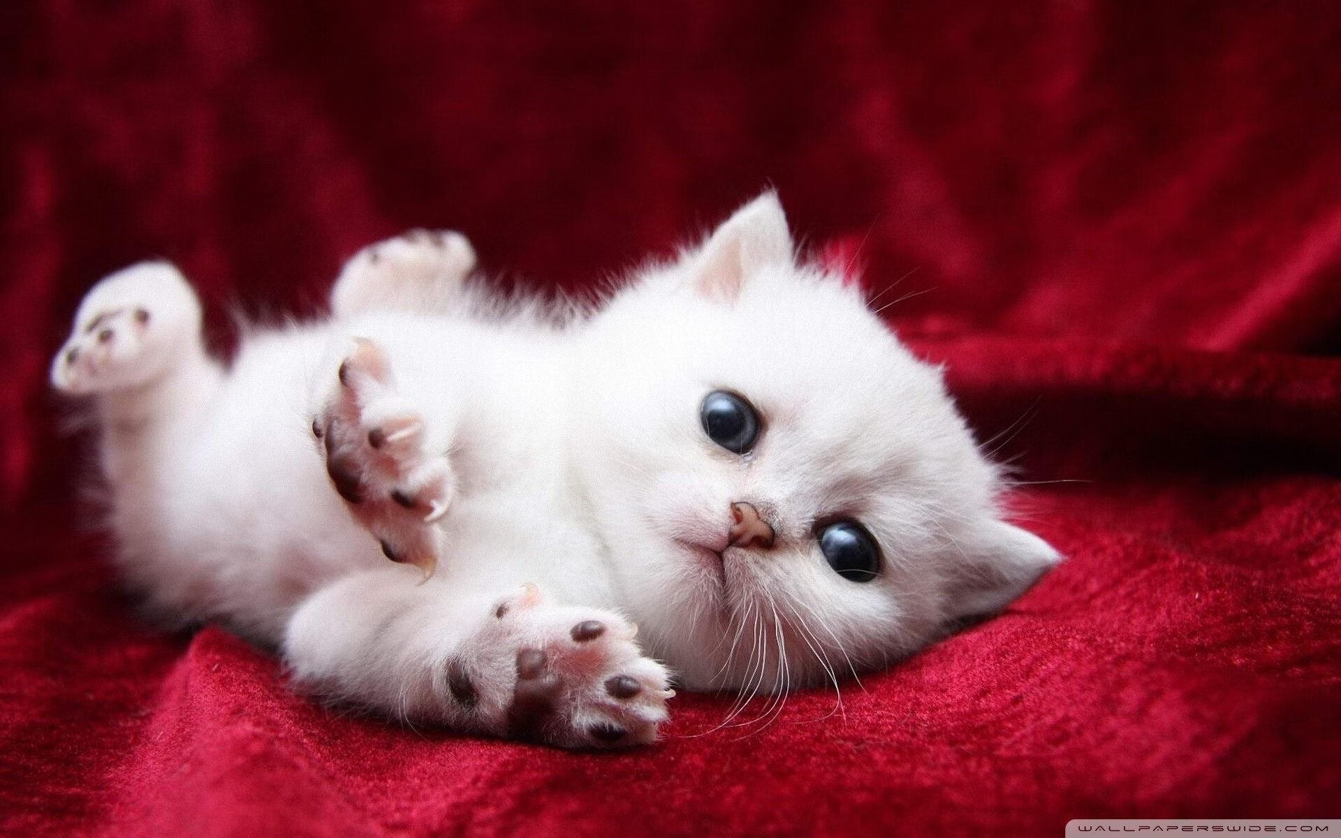 乐鱼体育App下载-中国男篮提高阵容深度提升比赛应变能力，中国男篮训练强度