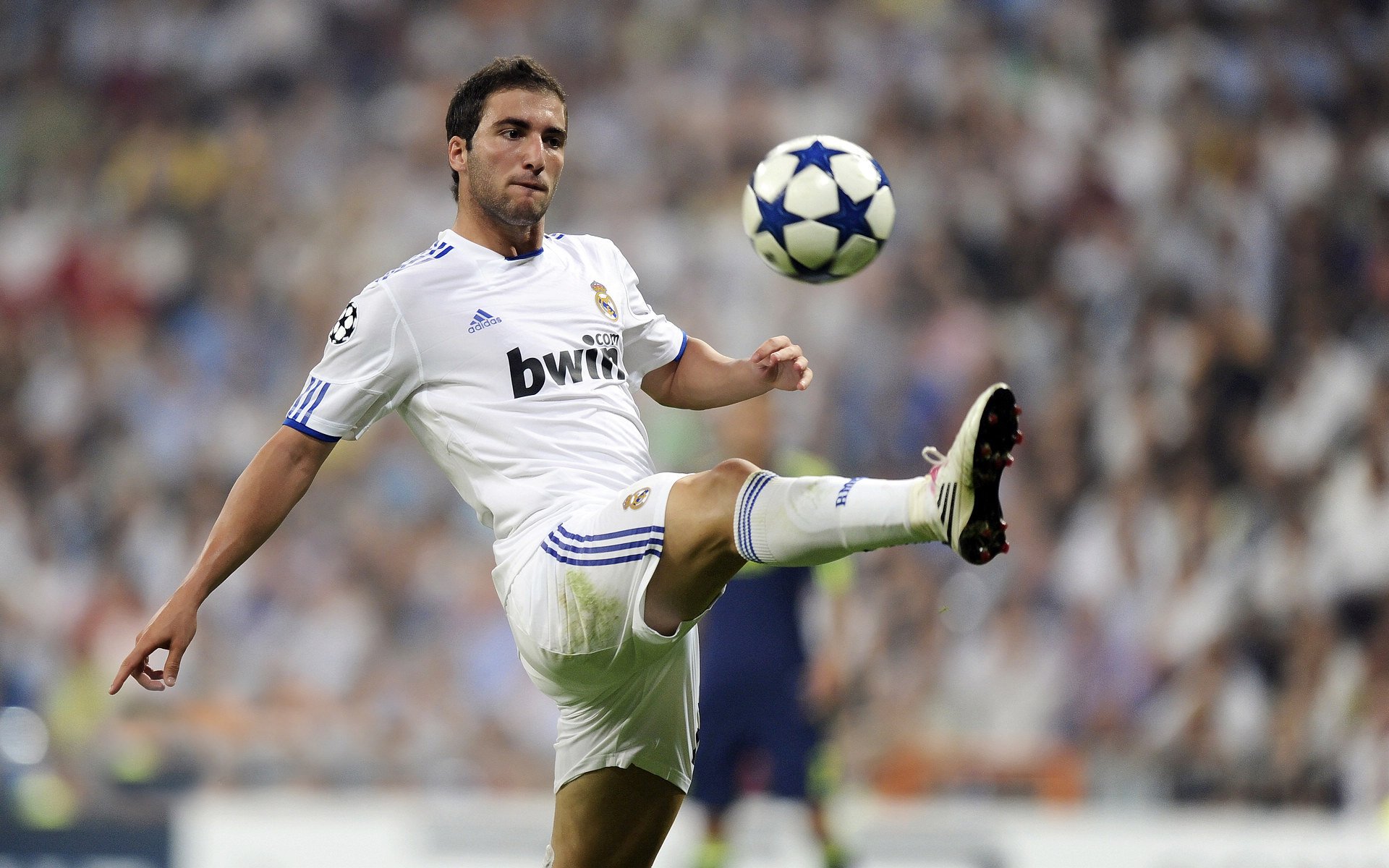 冠军队主场庆祝仪式盛大举行,球迷情绪高涨,球队主场冠军旗帜