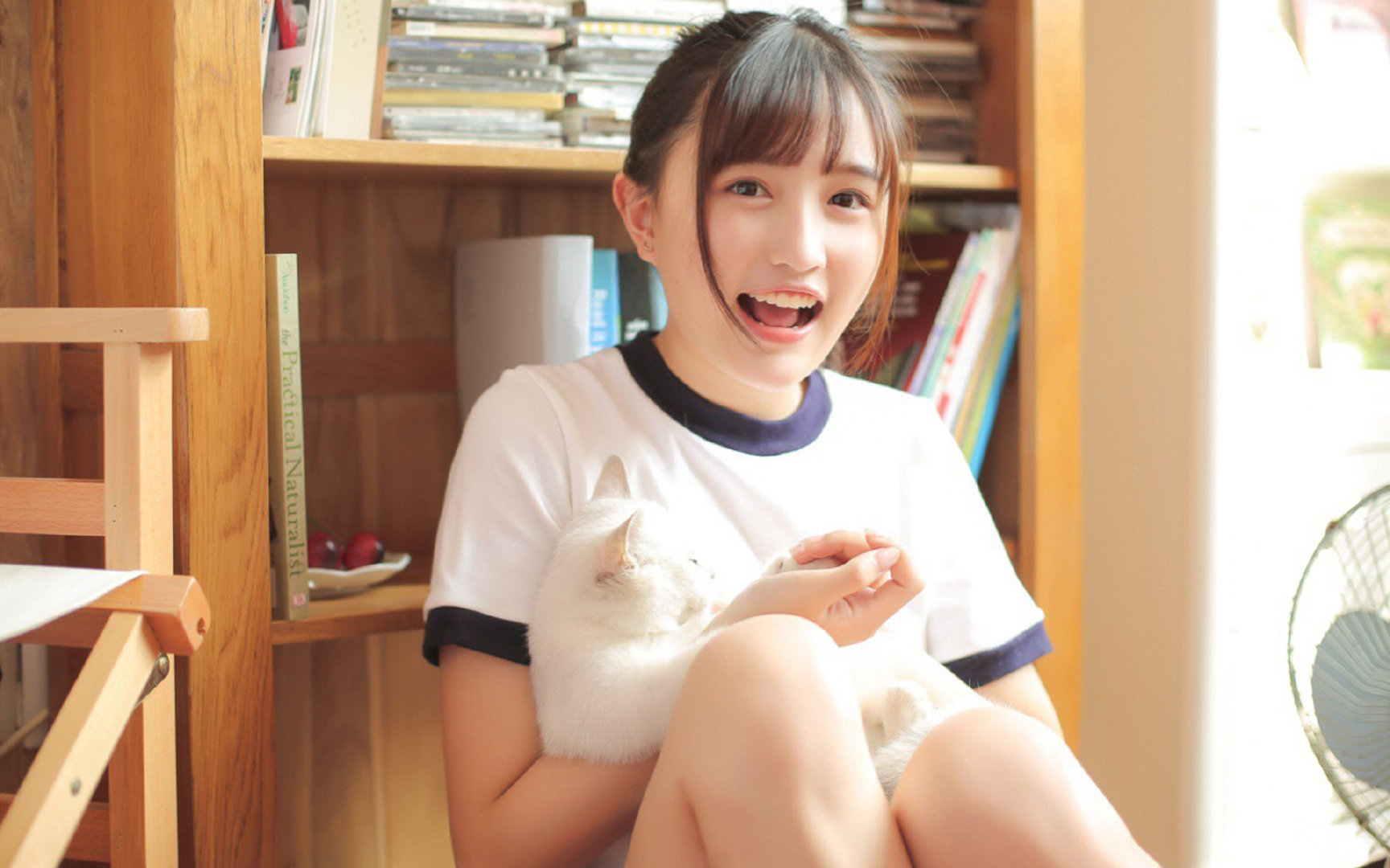 Leyu Sports (乐鱼体育)-南非橄榄球商业化运作逐步走向成熟，市场前景广阔，南非 橄榄球