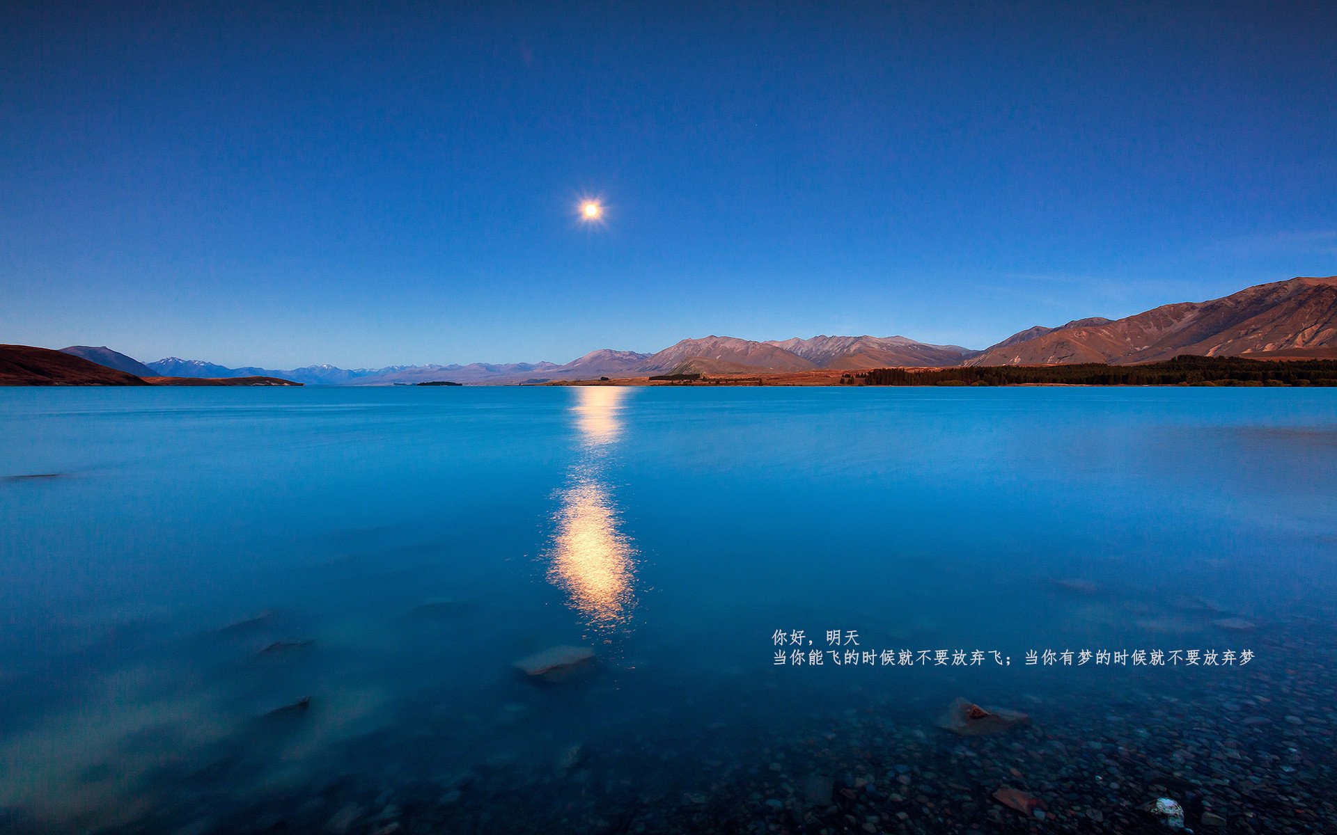 意甲技战术大比拼：精彩场面不停歇，意甲技术统计