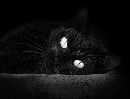 数字化青少年足球培训体系实现多维度评估与个性化指导,全国青少年足球示范课教案