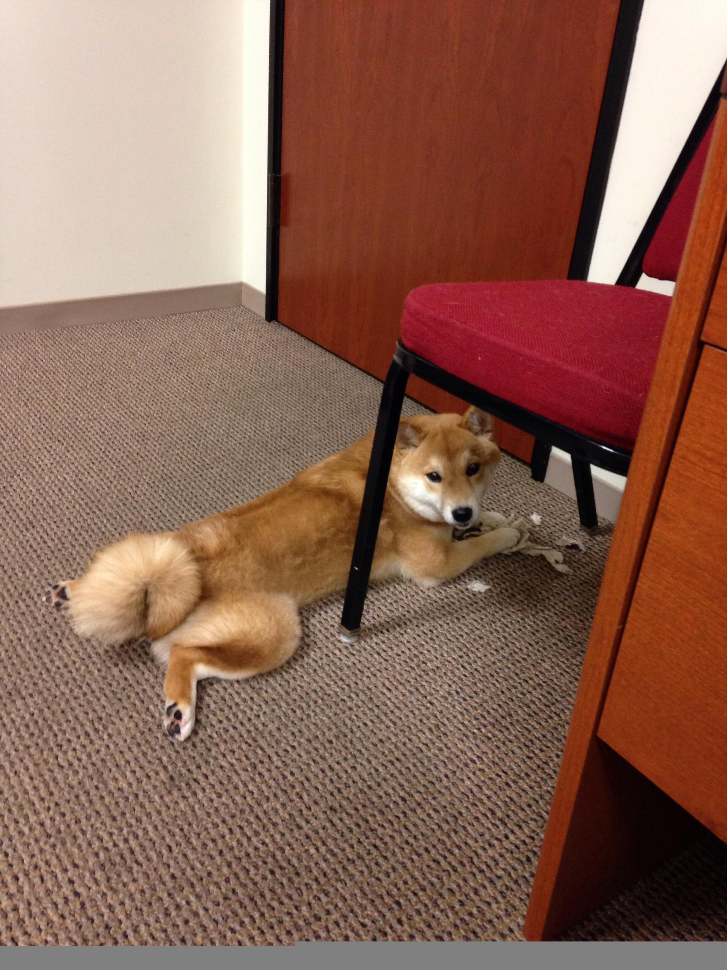 维尔·冯·威克:南非队的“动力电池”,强力突破引领进攻潮流